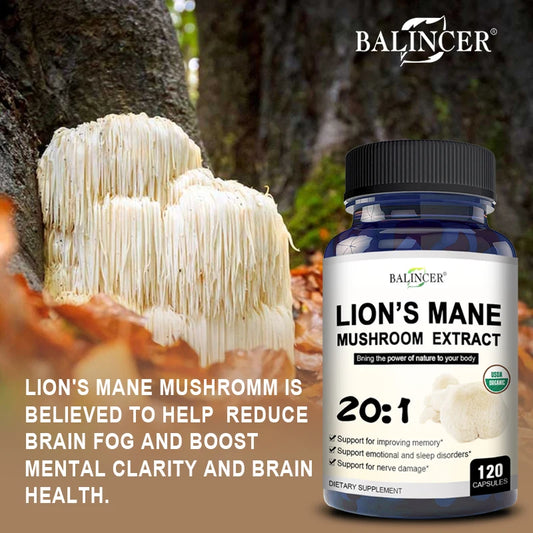 Lion's Mane Mushroom Extract Supplement
