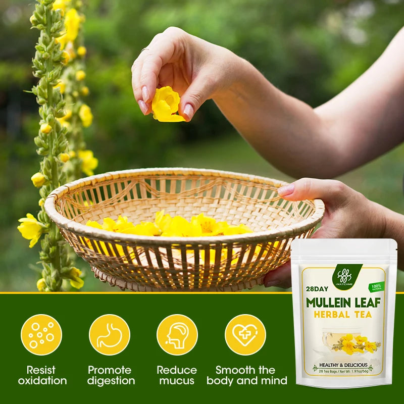 Mullein Leaf Tea Bags
