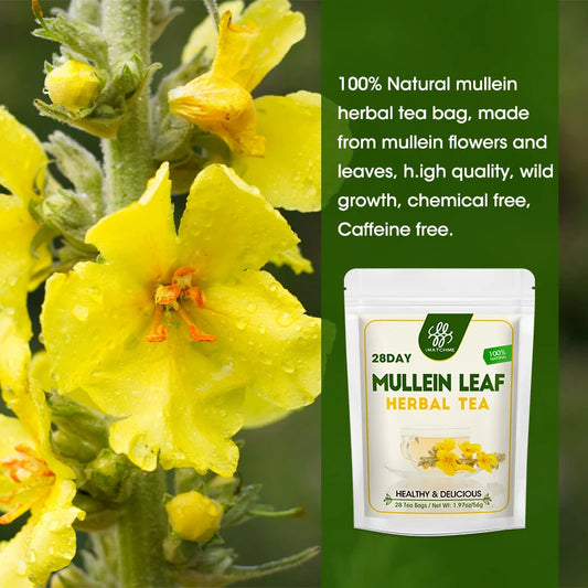 Mullein Leaf Tea Bags