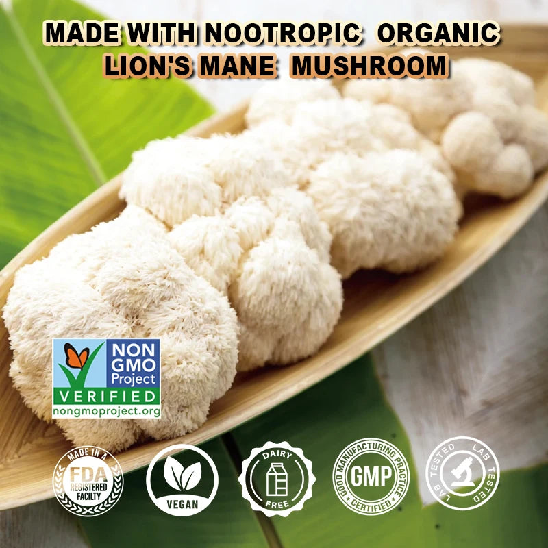 Lion's Mane Mushroom Extract Supplement